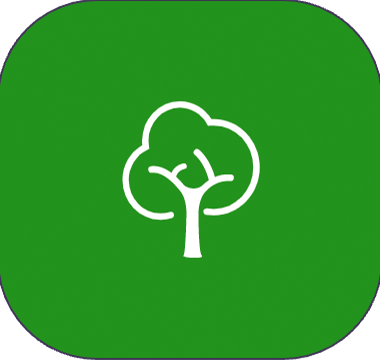 LaFoGa-2 Baumfällung- und Pflege